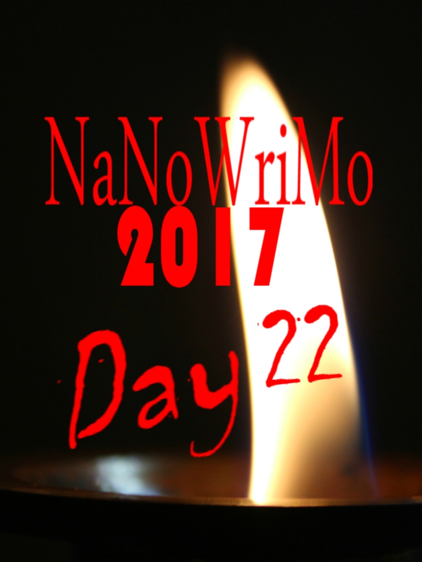 NaNoWriMo Day 22